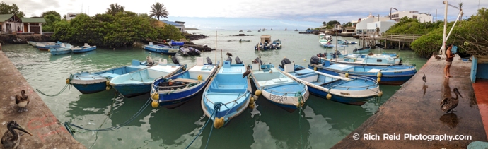 Panorama of fishing pangas moored in Puerto Ayora harbor on Santa Cruz Island in the Galapagos Islands, Ecuador.